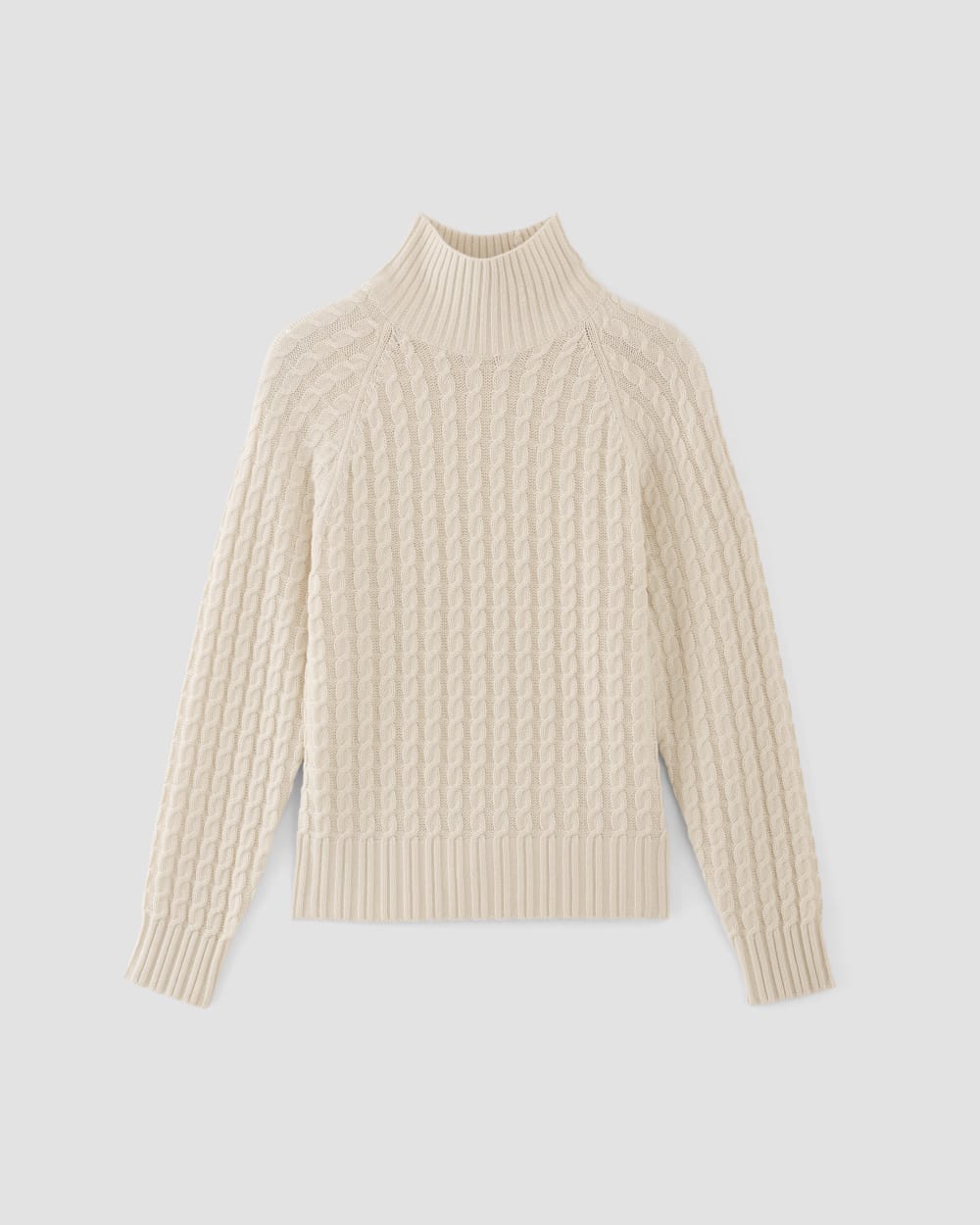 The Cotton Merino Cable Turtleneck | Canvas