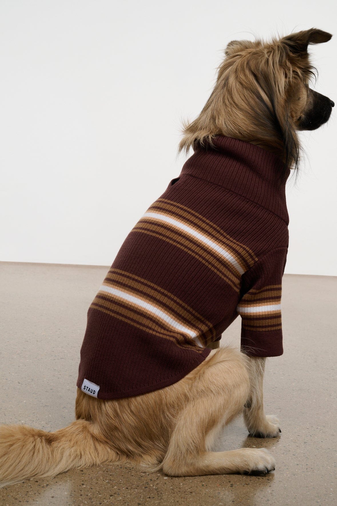 Pet Hampton Sweater | Tobacco Stripe