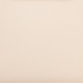 Mini Shirley Leather Bag | Cream