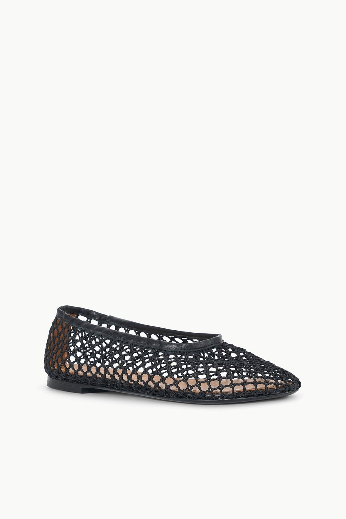 Alba Ballet Flat | Black Netting