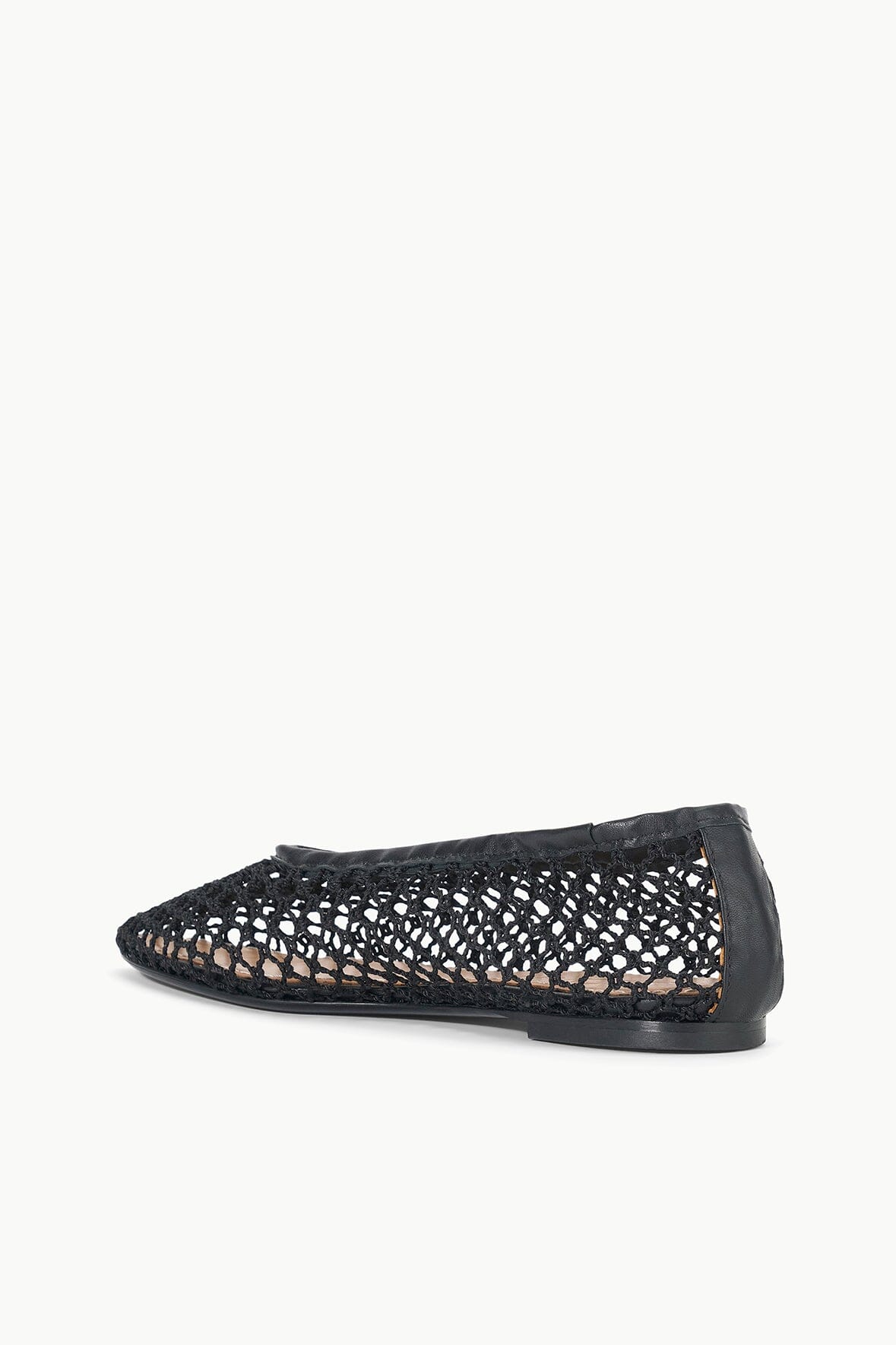 Alba Ballet Flat | Black Netting